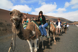 Lanzarote - Kameltour Lanzarote - Kameltour